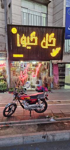 عکس گل فروشی گیوا