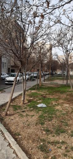 عکس میدان 15