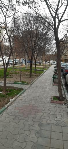 عکس میدان 15