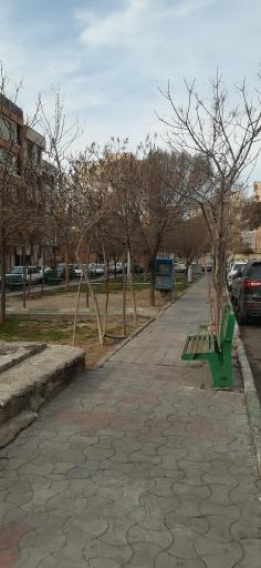 عکس میدان 15