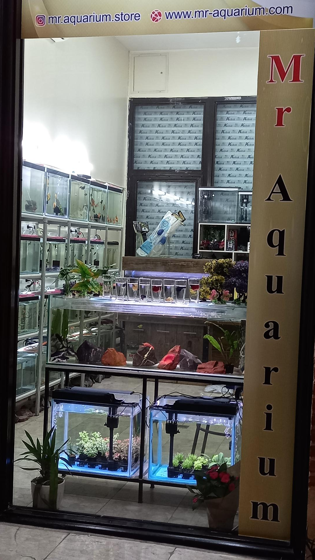 عکس آقای آکواریوم