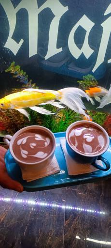 عکس کافه فست فود مجلل مجلسی