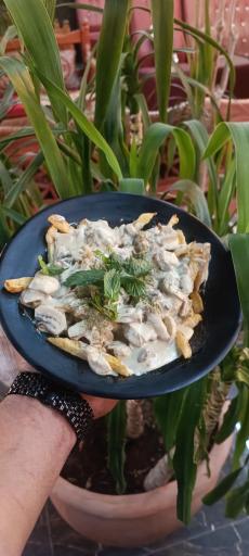 عکس کافه فست فود مجلل مجلسی