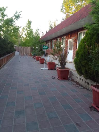 عکس کلینیک دامپزشکی زرین گوش