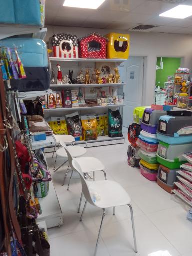 عکس کلینیک دامپزشکی زرین گوش