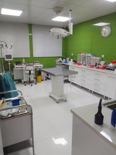 عکس کلینیک دامپزشکی زرین گوش