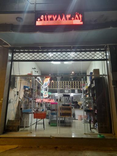 عکس پت شاپ پالاس