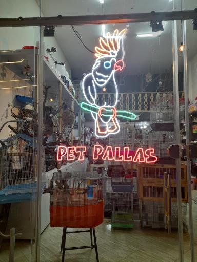 عکس پت شاپ پالاس