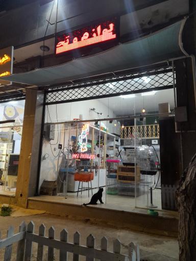 عکس پت شاپ پالاس