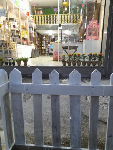 عکس پت شاپ پالاس