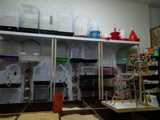 عکس پت شاپ پالاس