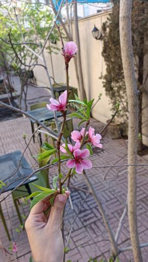 کافه کتاب خانه تجربه