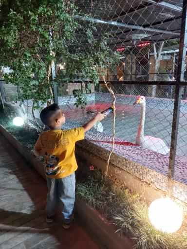 عکس رستوران بام شهر