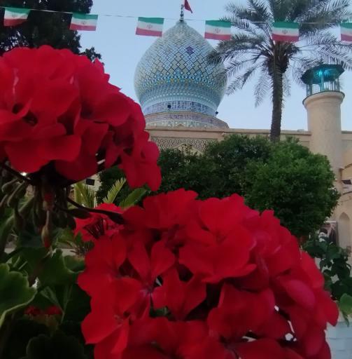 عکس امامزاده علی ابن حمزه