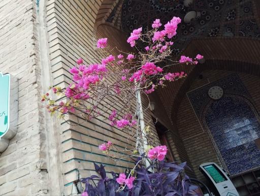 عکس امامزاده علی ابن حمزه