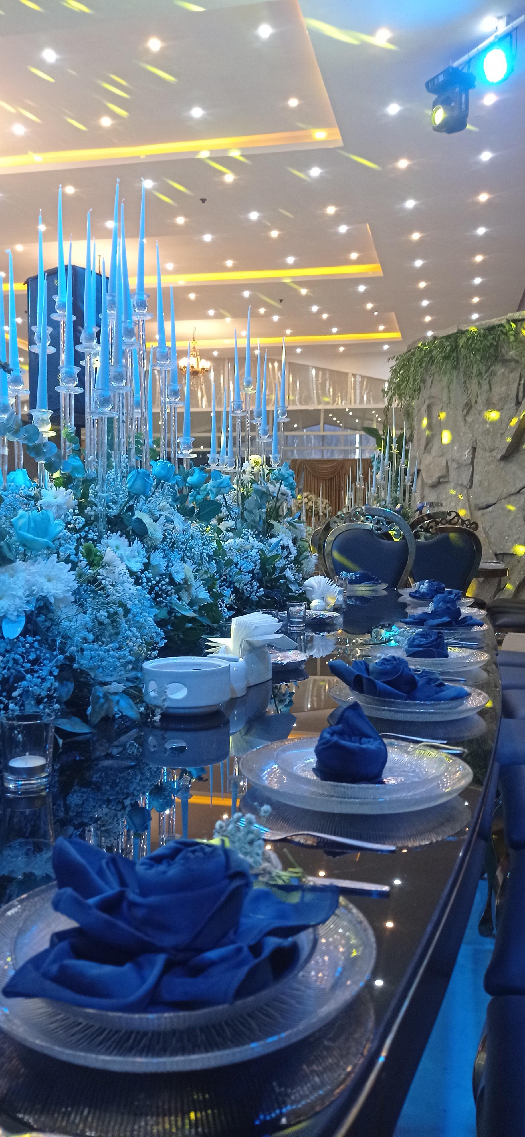 عکس باغ تالار پارادایس پرنس