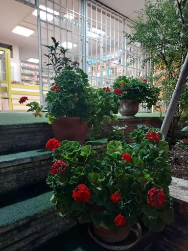 عکس داروخانه دکتر شهین رحیمی