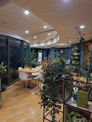 عکس کافه گالری