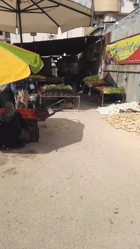 میوه برادران سید