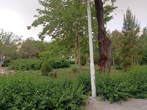 عکس بوستان عباسی