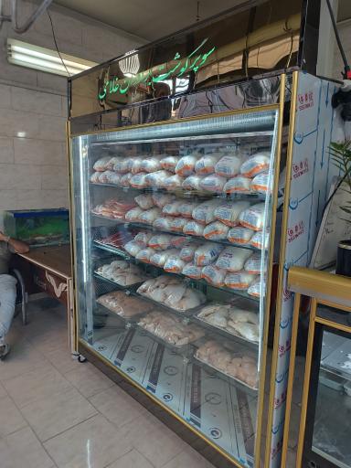 پروتئین غلامی