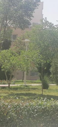 عکس بوستان عباسی