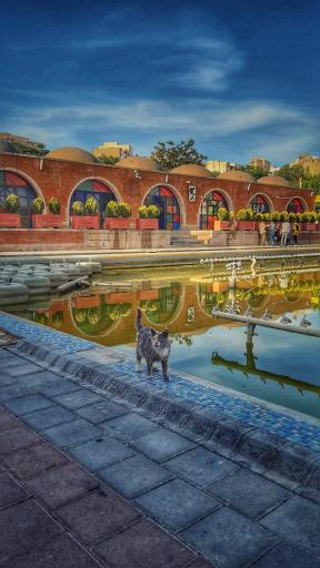 عکس موزیکال پارک ولیعصر تبریز