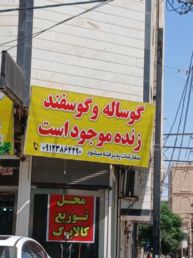 عکس پروتئین غلامی