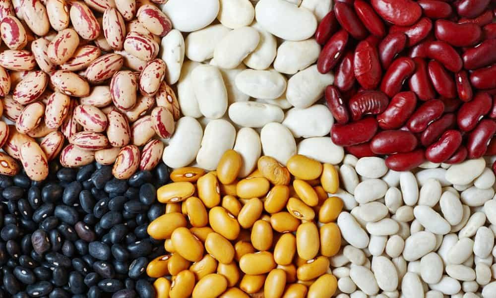 عکس مواد غذایی گندم 