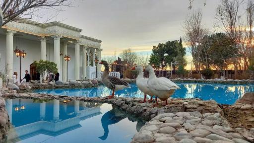 عکس باغ تالار پارادایس پرنس