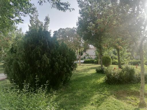 عکس بوستان عباسی