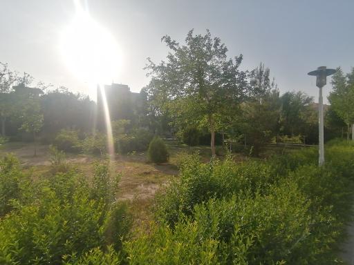 عکس بوستان عباسی