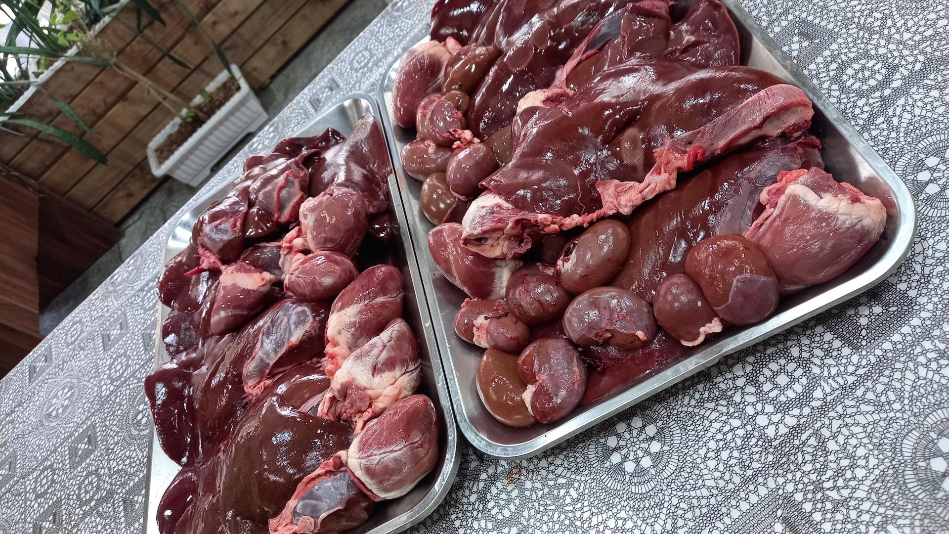 عکس خانه جیگر