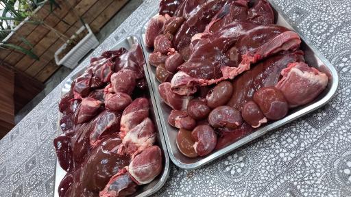 عکس خانه جیگر