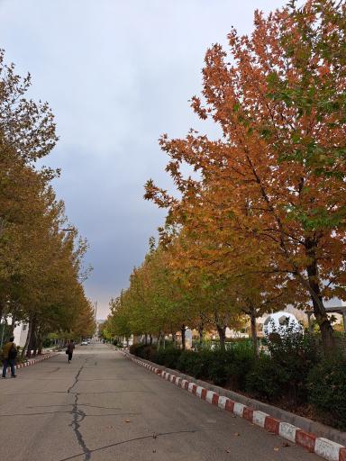 دانشگاه آزاد اسلامی واحد قزوین