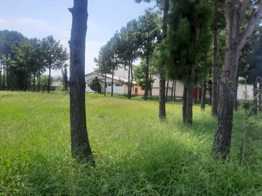 عکس مجموعه فرهنگی ورزشی کارگران