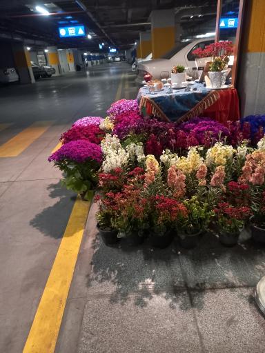 عکس هتل قصر الضیافه قدس