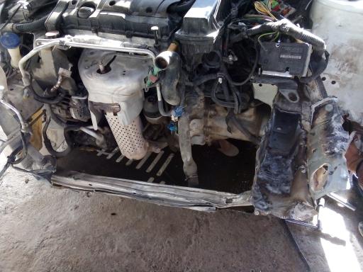 عکس صافکاری برادران یاقوتی