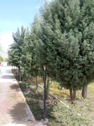 عکس پارک ملت اشیان