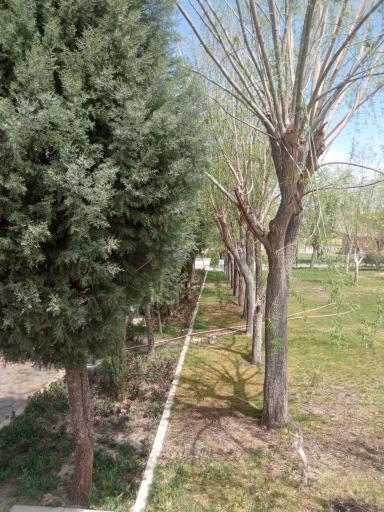 عکس پارک ملت اشیان