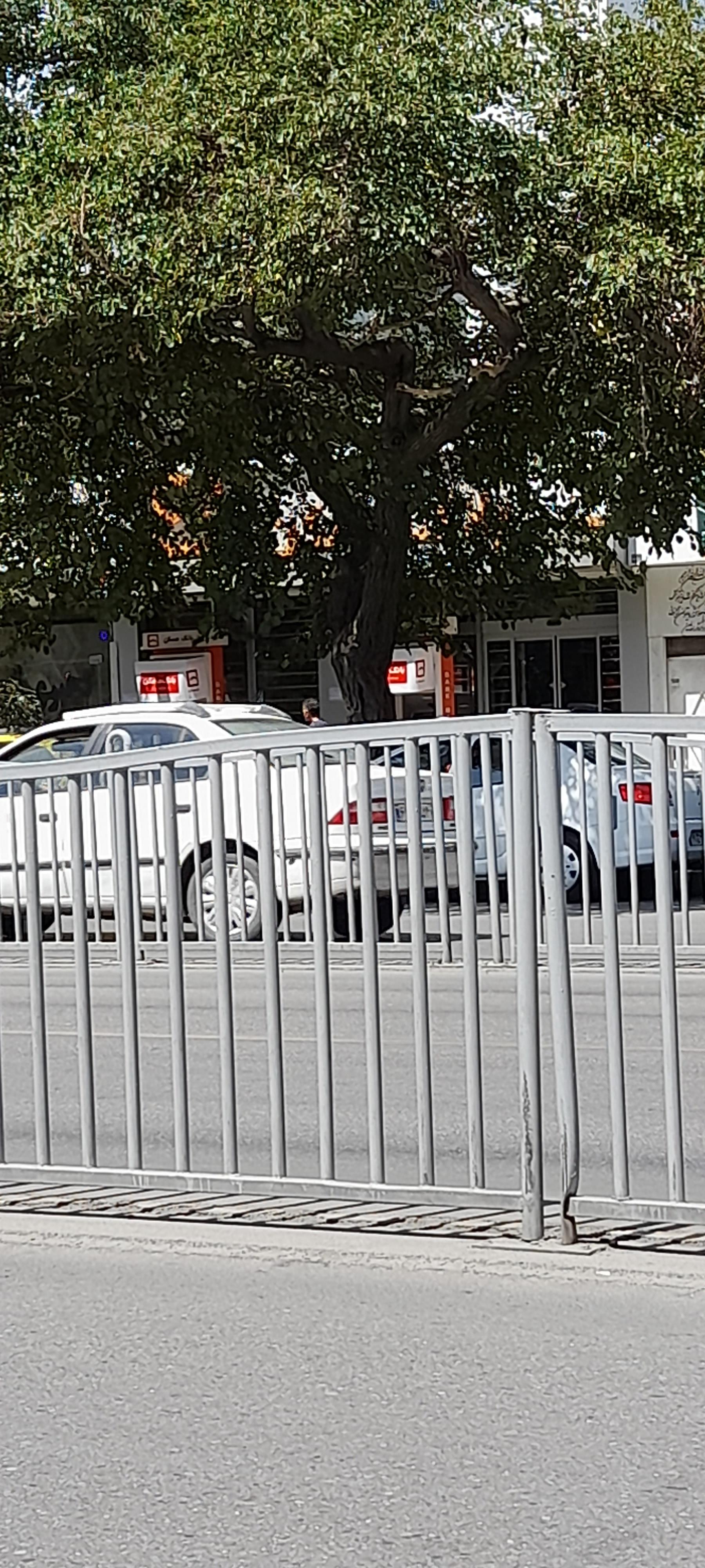 عکس بانک مسکن شعبه بلوار طبرسی شعبه رسالت