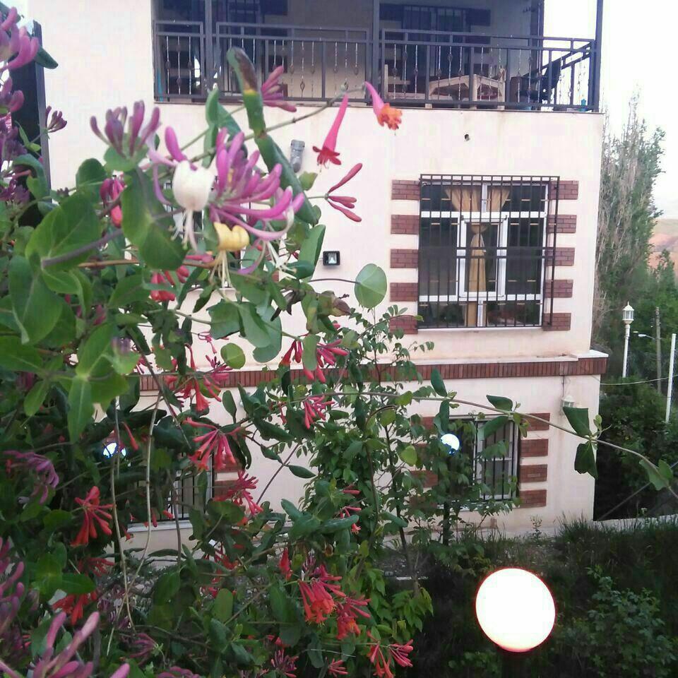 عکس مهمانپذیر آبنوس