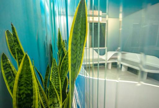 عکس دندانپزشکی هاجر سیفی