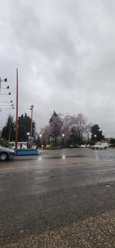 عکس پارک شهید مدرس