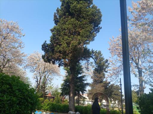 عکس پارک شهید مدرس