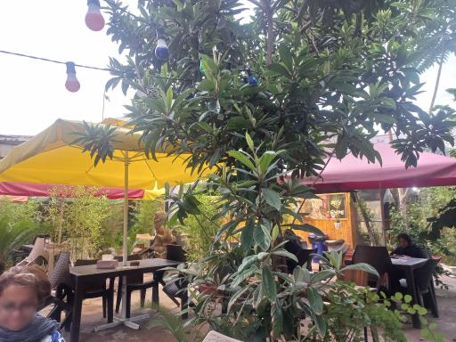 عکس کافه گندم