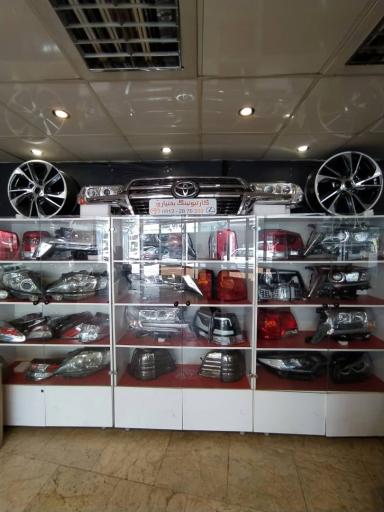 عکس کارتیونینگ بختیاری