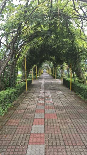 عکس مجتمع فرهنگی رفاهی رضوان