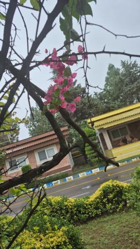 عکس مجتمع فرهنگی رفاهی رضوان