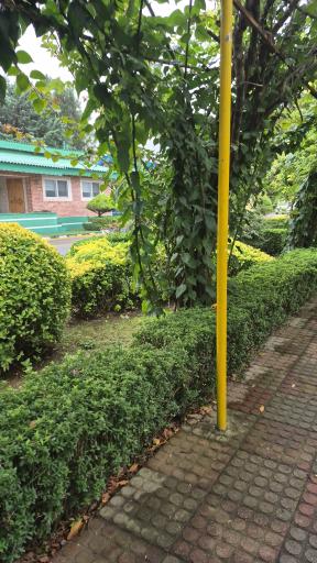 عکس مجتمع فرهنگی رفاهی رضوان